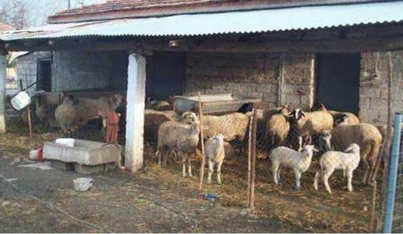 Δεν αντέχουν κι άλλα  «χαράτσια» οι Γιαννιώτες 
