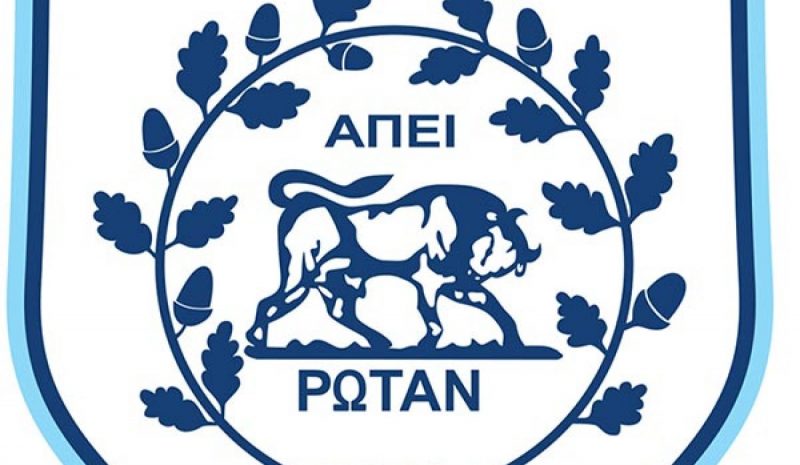  Σύστησε Διοικούσα Επιτροπή ο Ερασιτέχνης ΠΑΣ Γιάννινα!