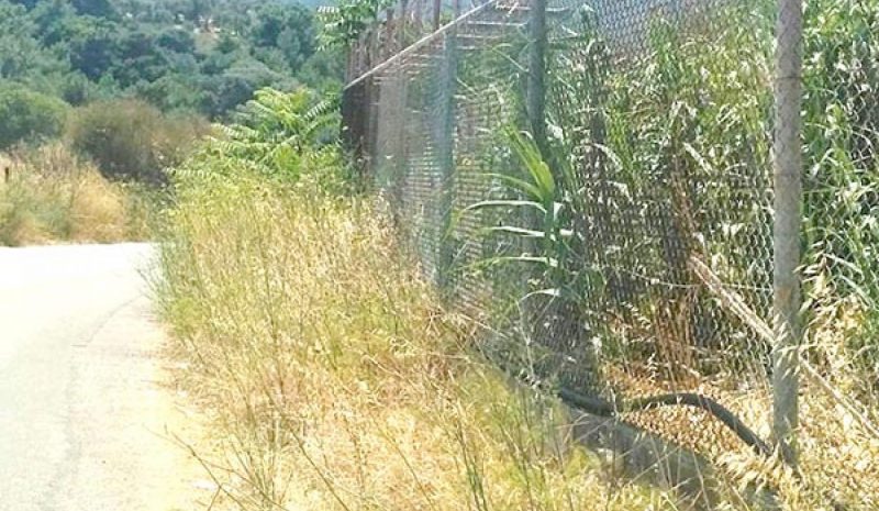 Μία εβδομάδα επιπλέον για τους καθαρισμούς οικοπέδων