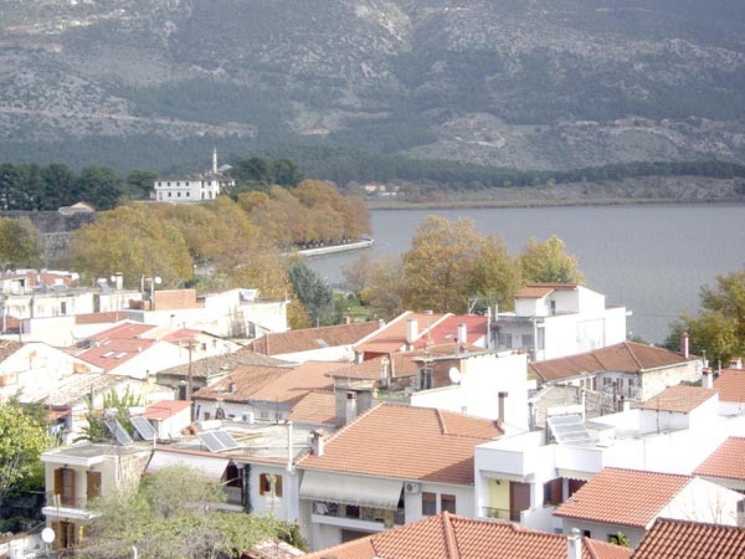 ΜΗΔΕΝΙΚΗ Η ΖΗΤΗΣΗ ΑΚΙΝΗΤΩΝ!