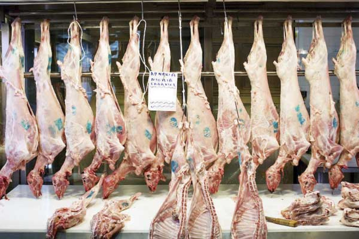 Εντοπίστηκαν 2.100 αρνιά άγνωστης προέλευσης σε Ήπειρο – Δυτ. Ελλάδα
