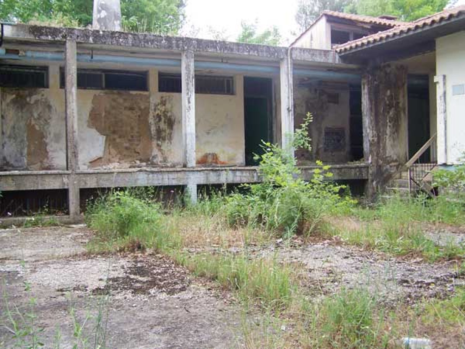 ΟΙ ΤΟΙΧΟΙ ΕΜΕΙΝΑΝ ΣΤΗΝ ΠΑΙΔΟΠΟΛΗ!