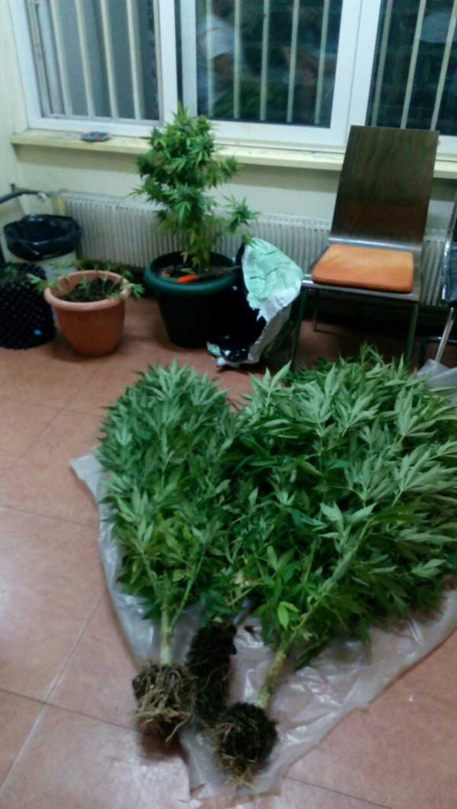 ΝΑΡΚΩΤΙΚΑ: Δυστυχώς και Έλληνες στο… δρόμο που χάραξαν οι Αλβανοί!