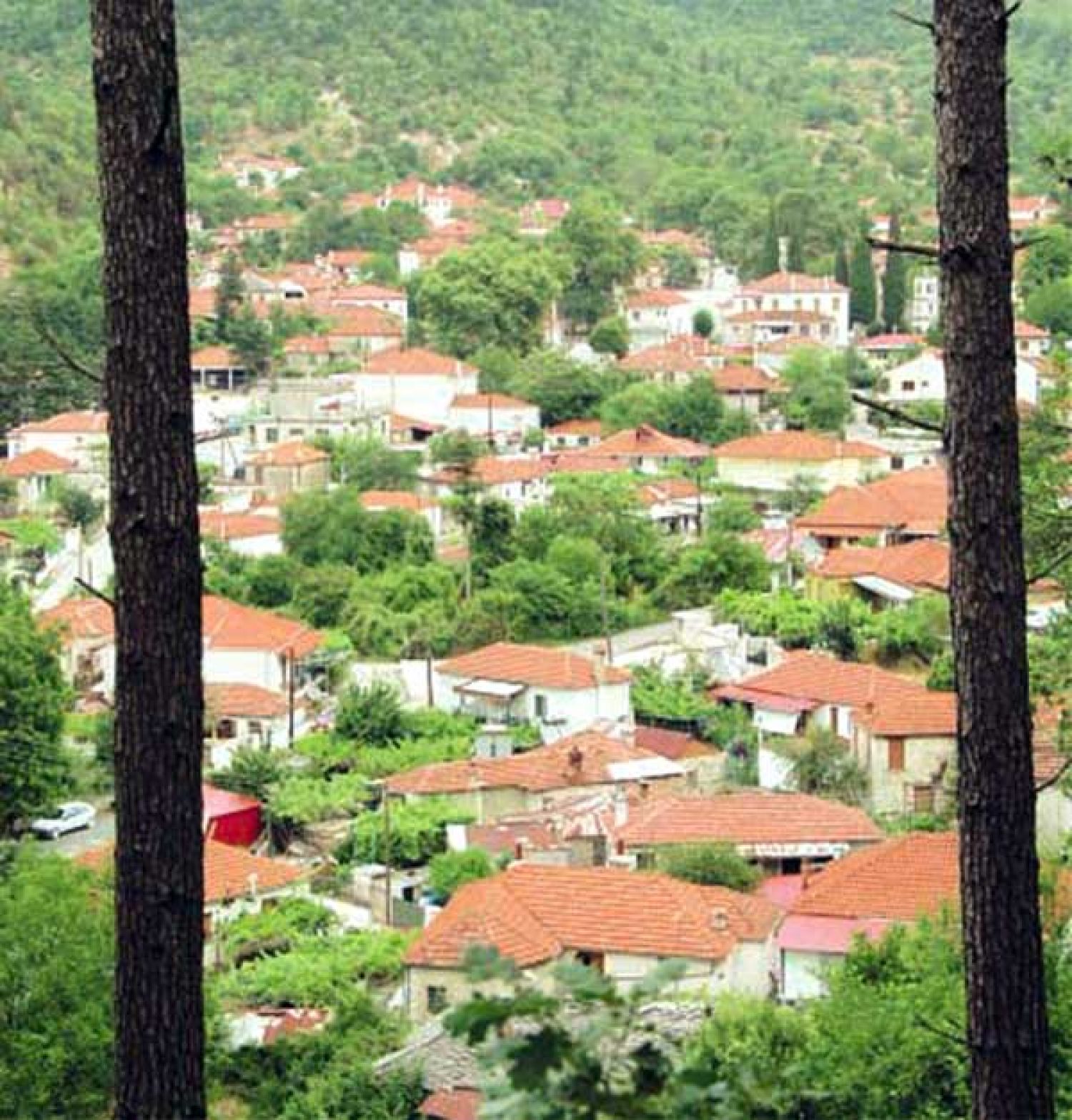 Πανηγύρια κι εκδηλώσεις στον Δήμο Πωγωνίου