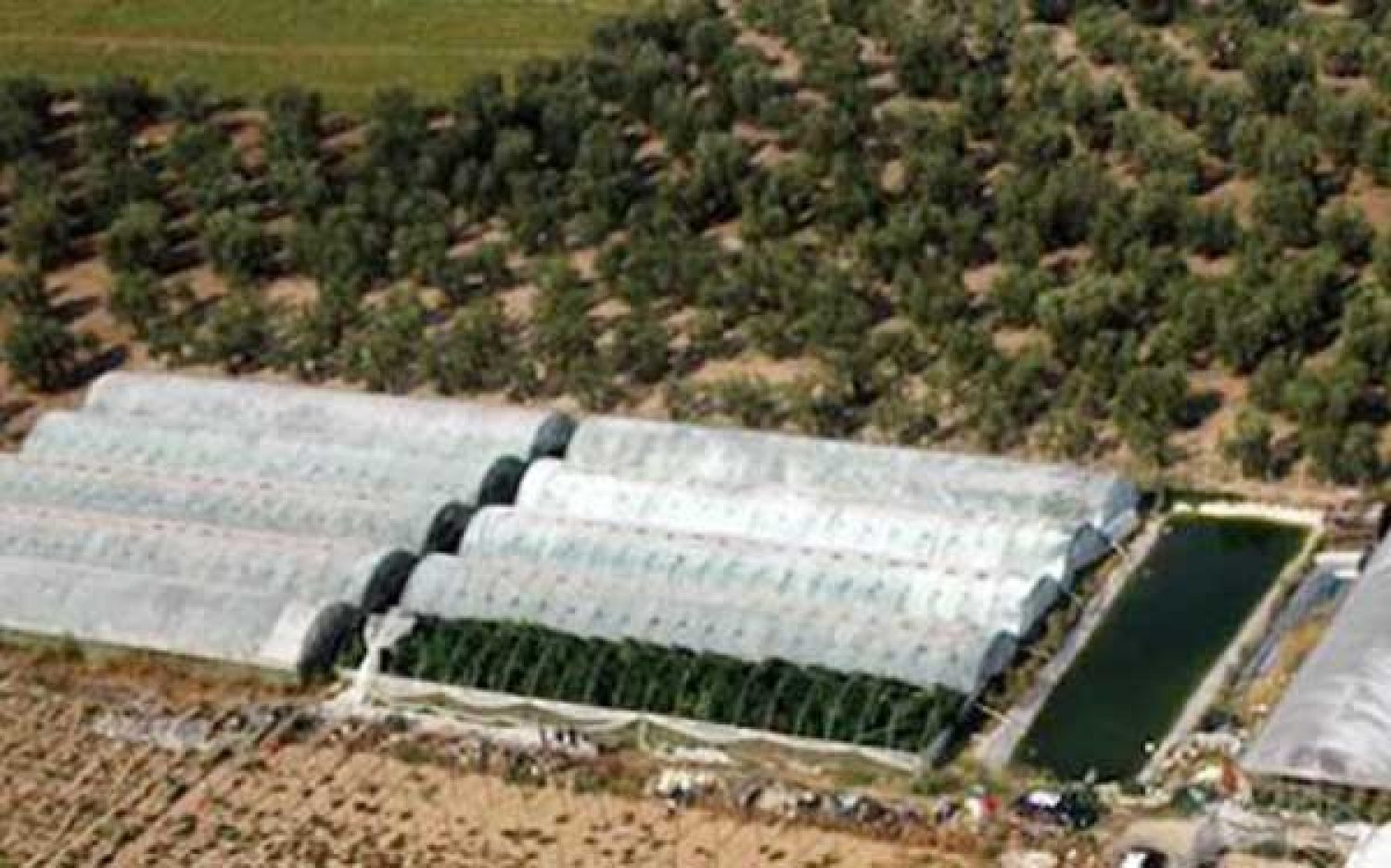 Εκτός ελέγχου (με κυβερνητική προστασία) η καλλιέργεια χασίς στην Αλβανία