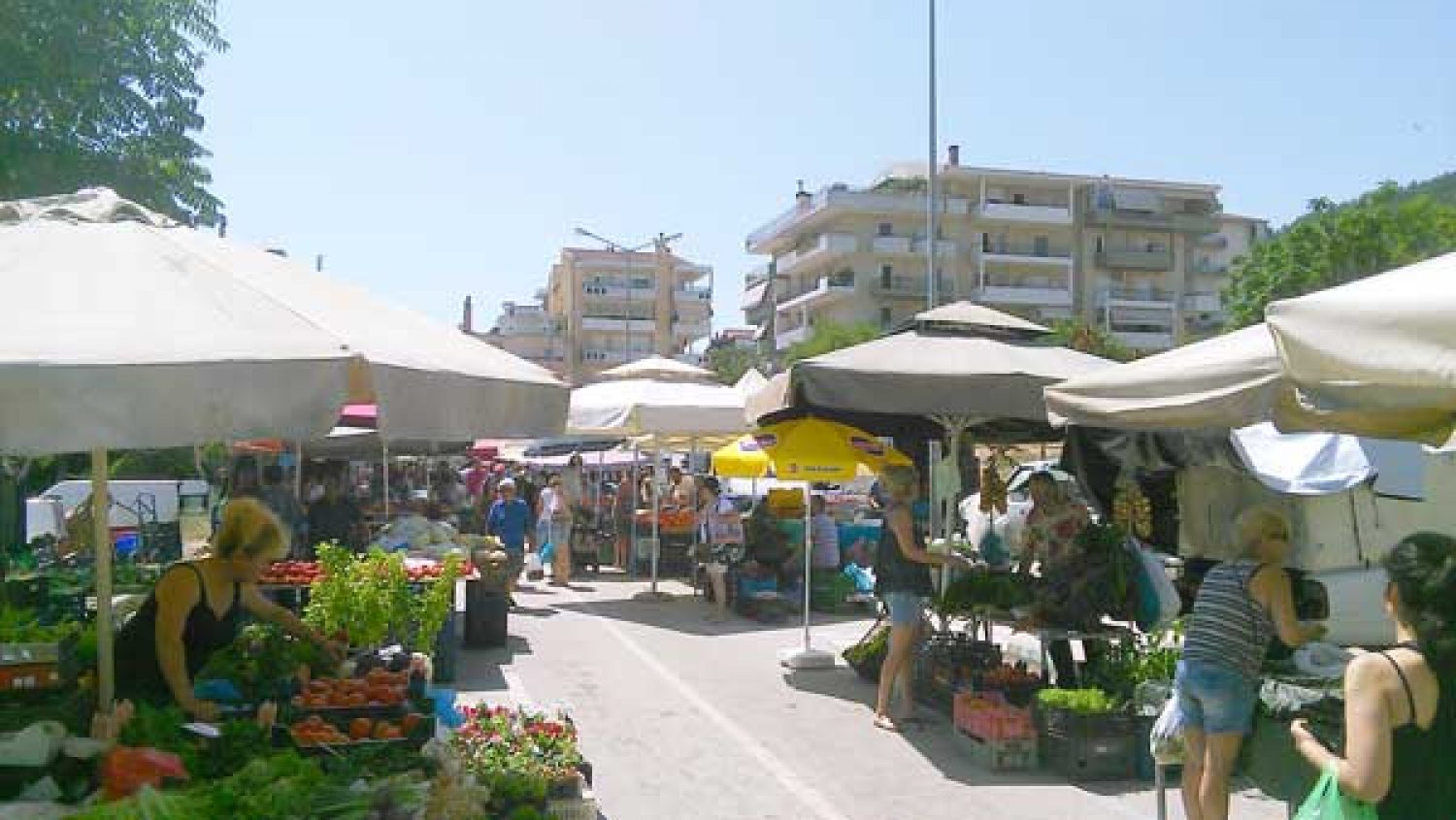 «Ανθίζουν» ξανά λόγω της κρίσης οι λαϊκές αγορές στα Γιάννενα!