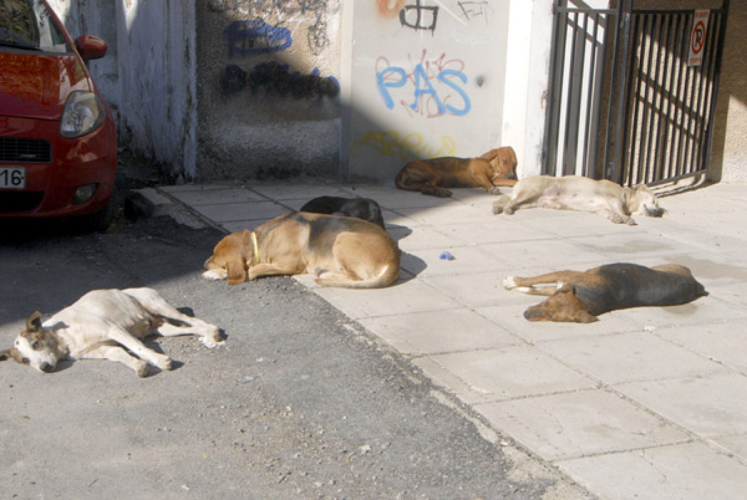 ΑΔΕΣΠΟΤΑ: ΟΙ ΠΟΛΙΤΕΣ ΕΧΟΥΝ ΤΟ ΛΟΓΟ!