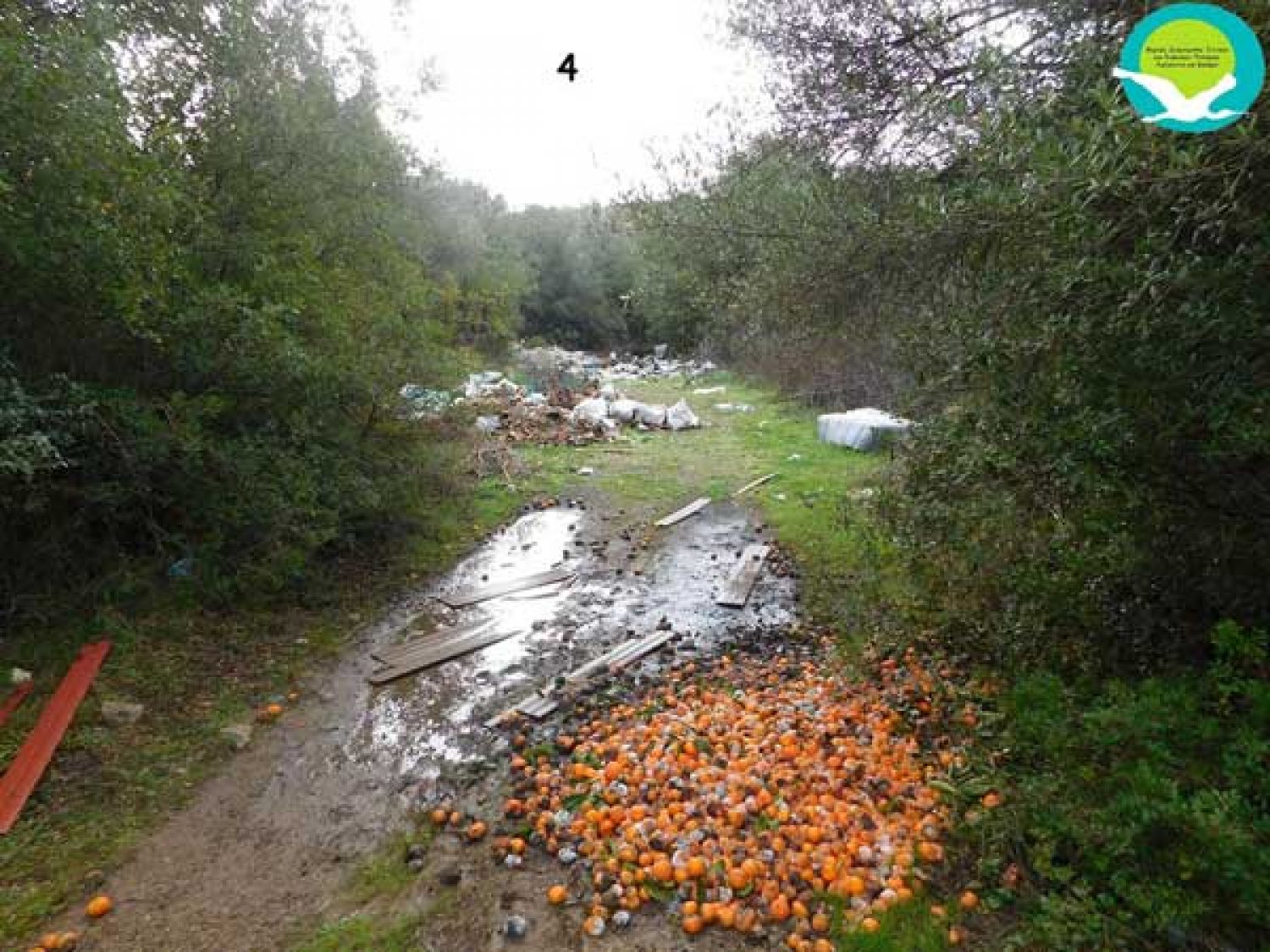 Σε αποδέκτη λυμάτων έχει μετατραπεί πάλι ο Καλαμάς!