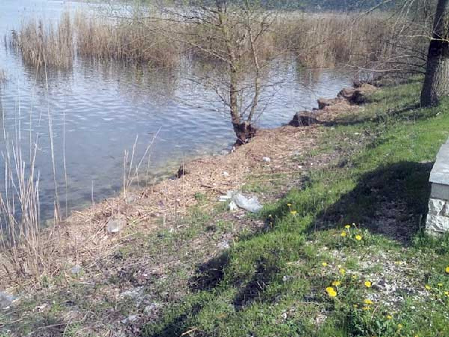 Θλίψη, μελαγχολία, απογοήτευση από την εικόνα της Παμβώτιδας!