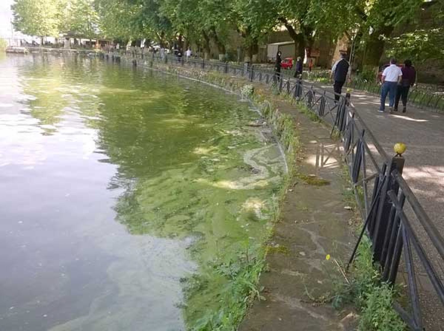 ΠΡΟΚΛΗΣΗ Η ΣΩΤΗΡΙΑ ΤΗΣ ΠΑΜΒΩΤΙΔΑΣ!