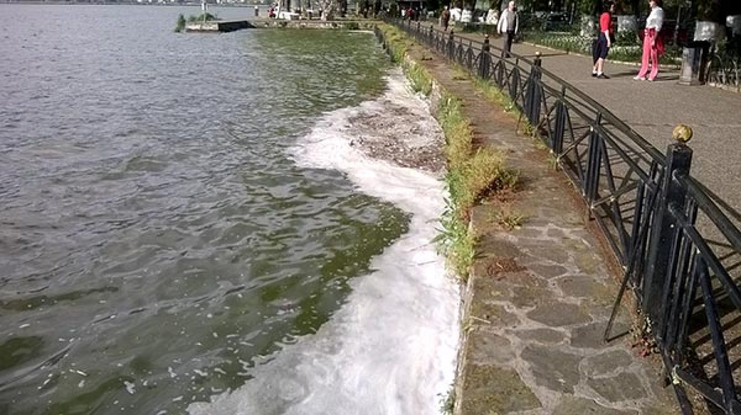 Η Παμβώτιδα ακόμα περιμένει δράσεις για τη σωτηρία της!