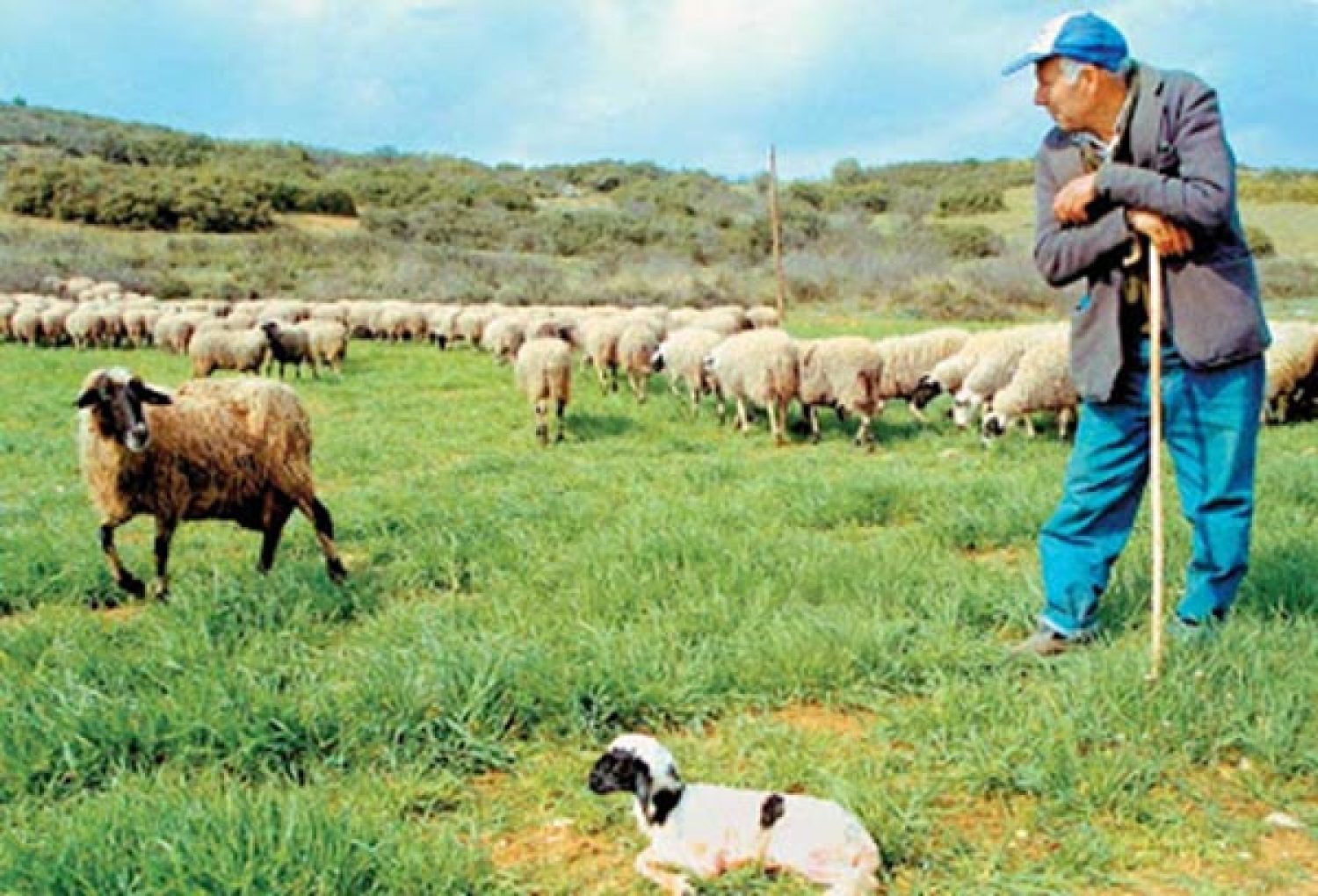 «Αργός θάνατος» λόγω φτώχειας για την Ηπειρωτική ύπαιθρο!
