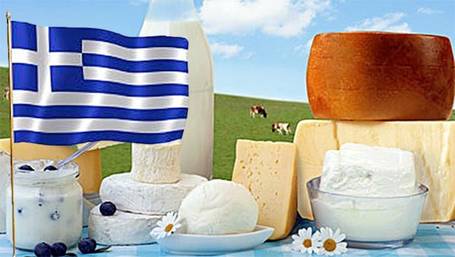 ΟΡΓΙΟ ΝΟΘΕΙΑΣ ΣΕ ΓΑΛΑΤΑ – ΤΥΡΙΑ!