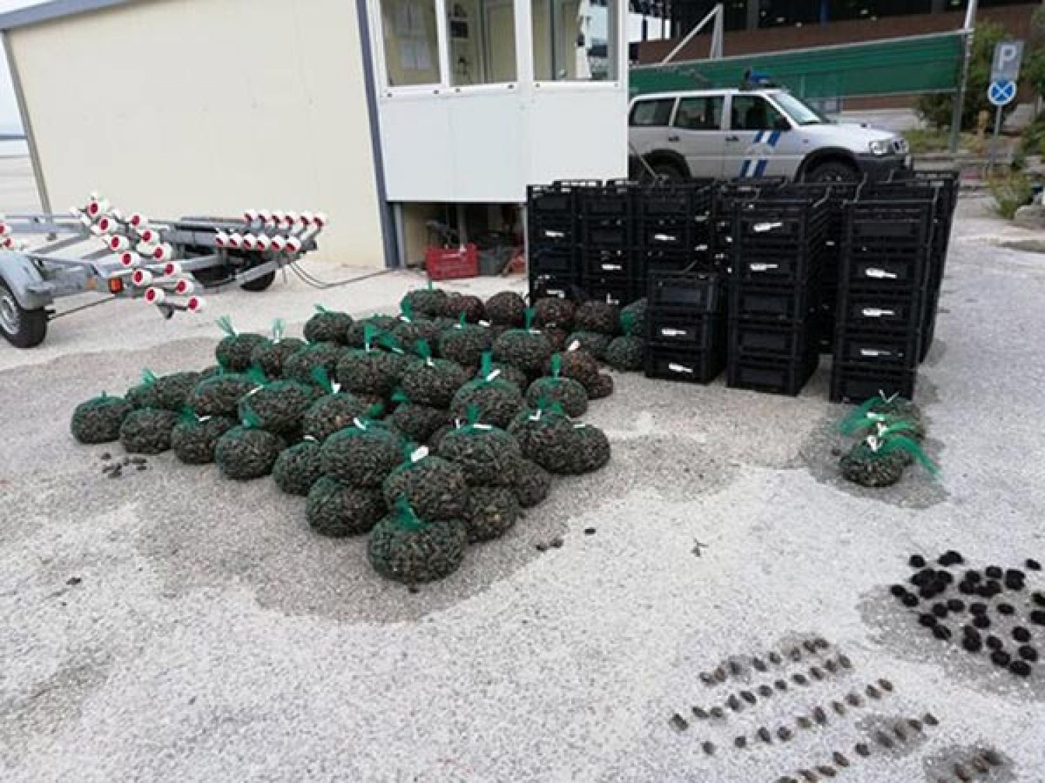 Πάνω από ένας τόνος αλιευμάτων κατασχέθηκε στο Λιμάνι Ηγουμενίτσας