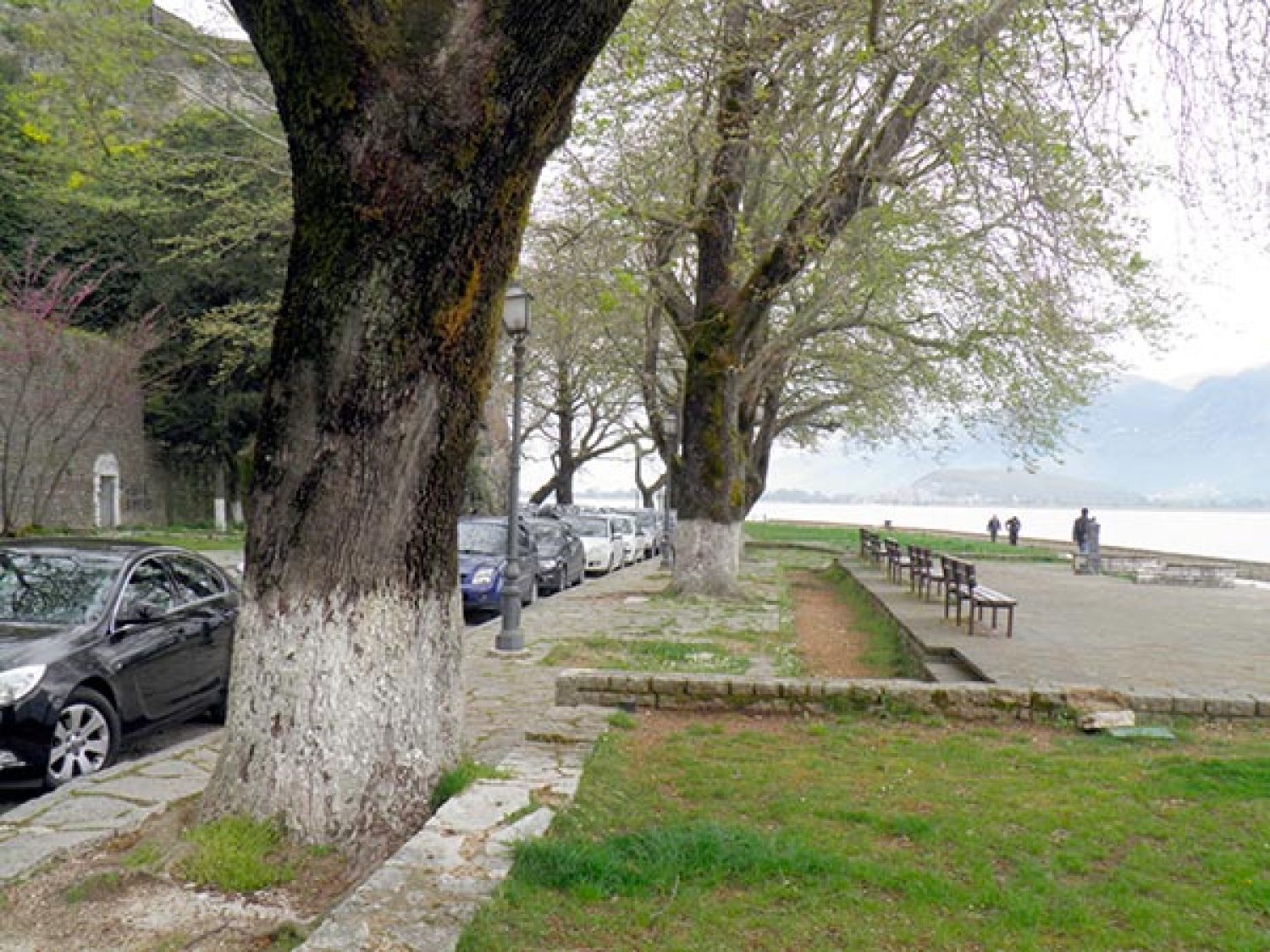STOP οι βόλτες σε Παραλίμνιο και δασύλλιο Φρόντζου – Περιφερειακή!