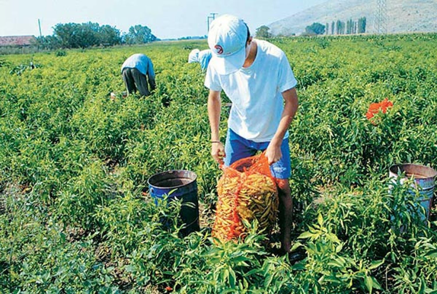 Επιδότηση εργασίας και όχι ανεργίας!
