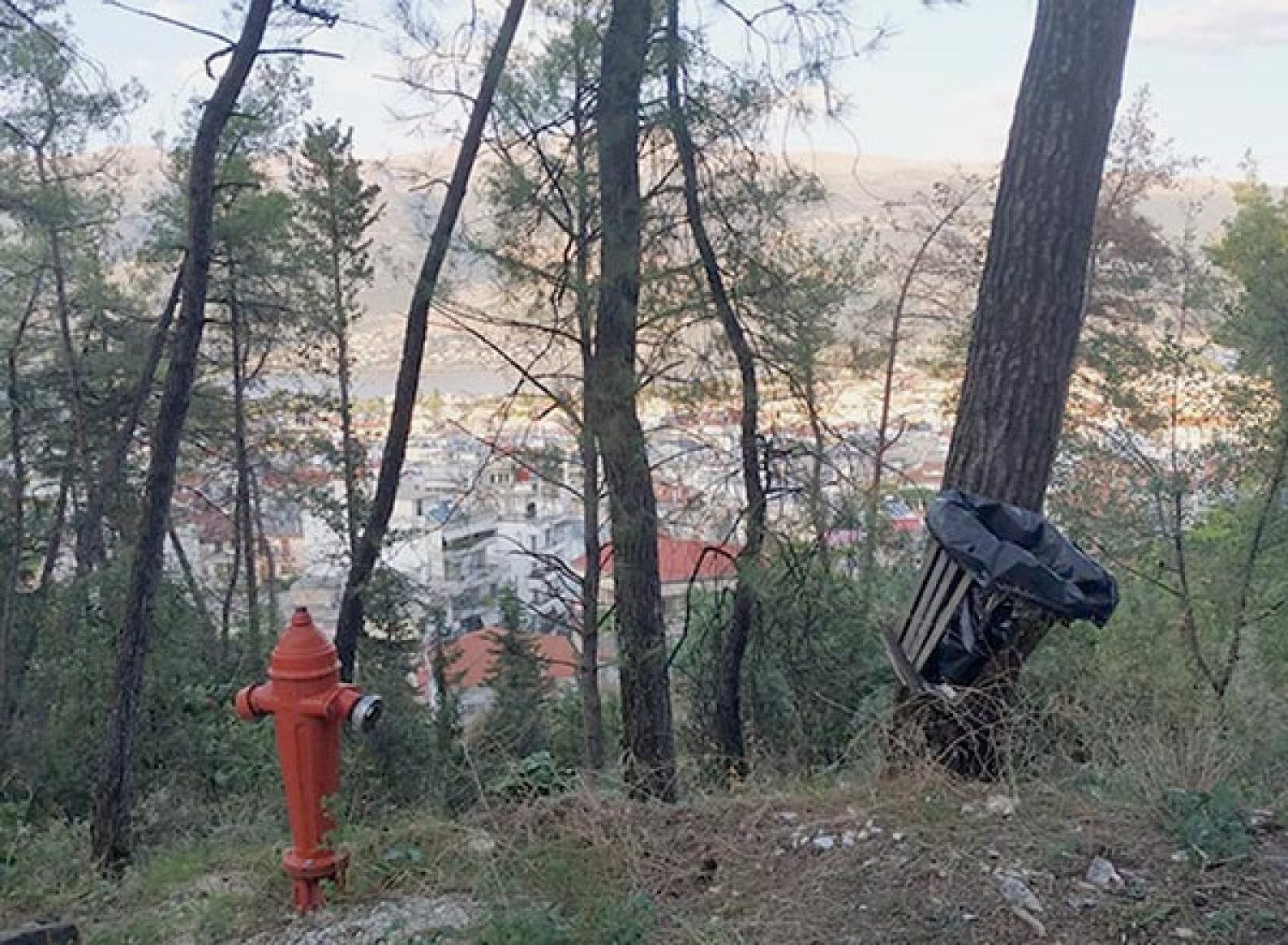 Με σχέδιο και δουλειά η «θωράκιση» του Λεκανοπεδίου από τις πυρκαγιές!