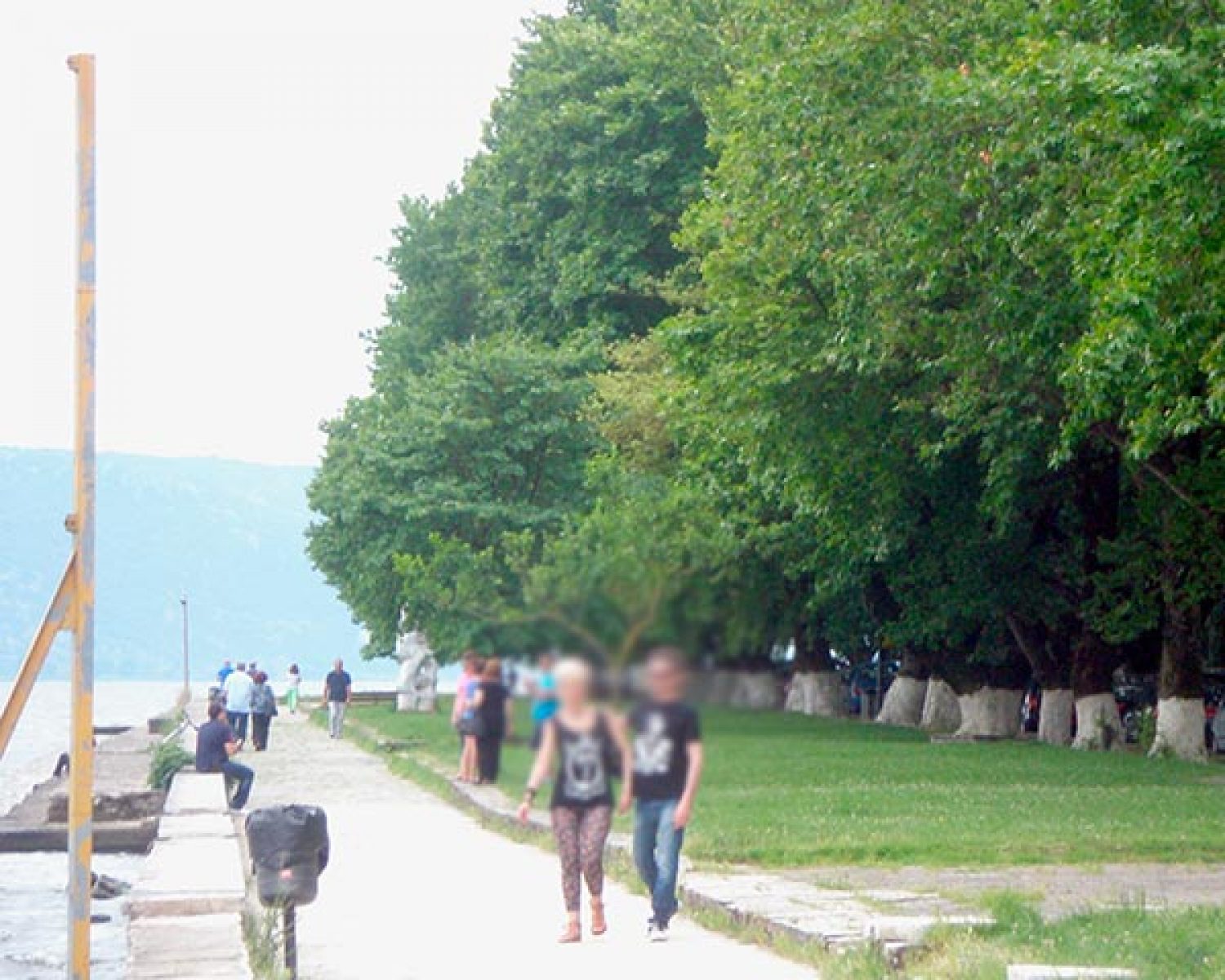 ΑΦΑΝΙΖΟΝΤΑΙ ΤΑ ΠΛΑΤΑΝΙΑ ΣΤΟ ΜΟΛΟ!