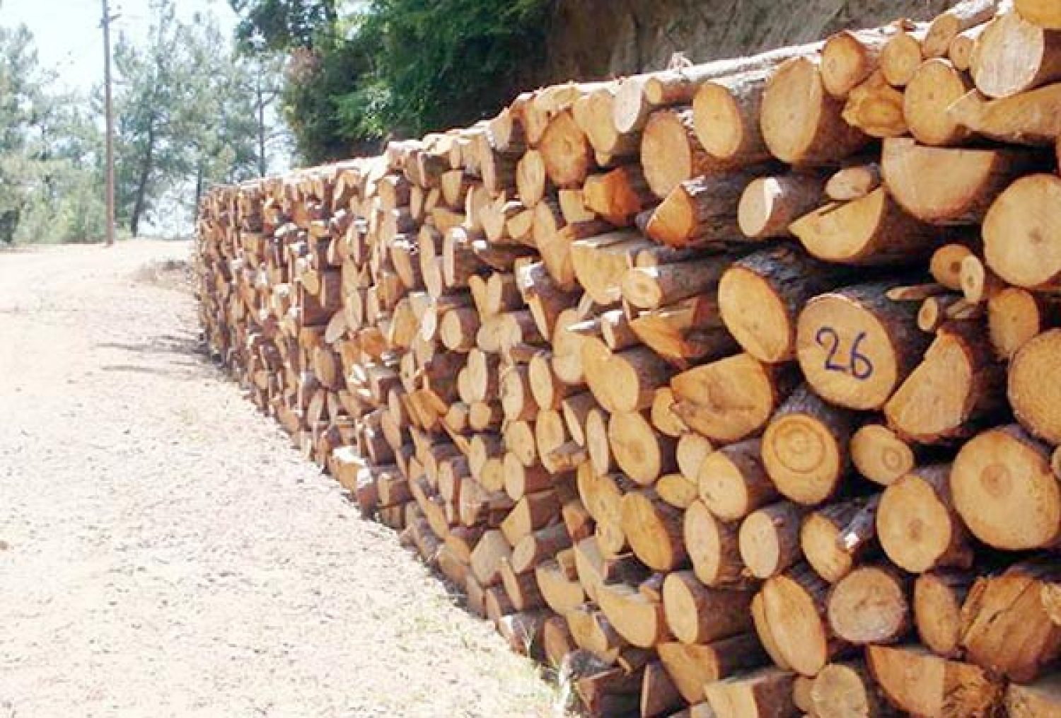 Η γραφειοκρατία… βλάπτει σοβαρά τους επαγγελματίες πώλησης καυσόξυλων!