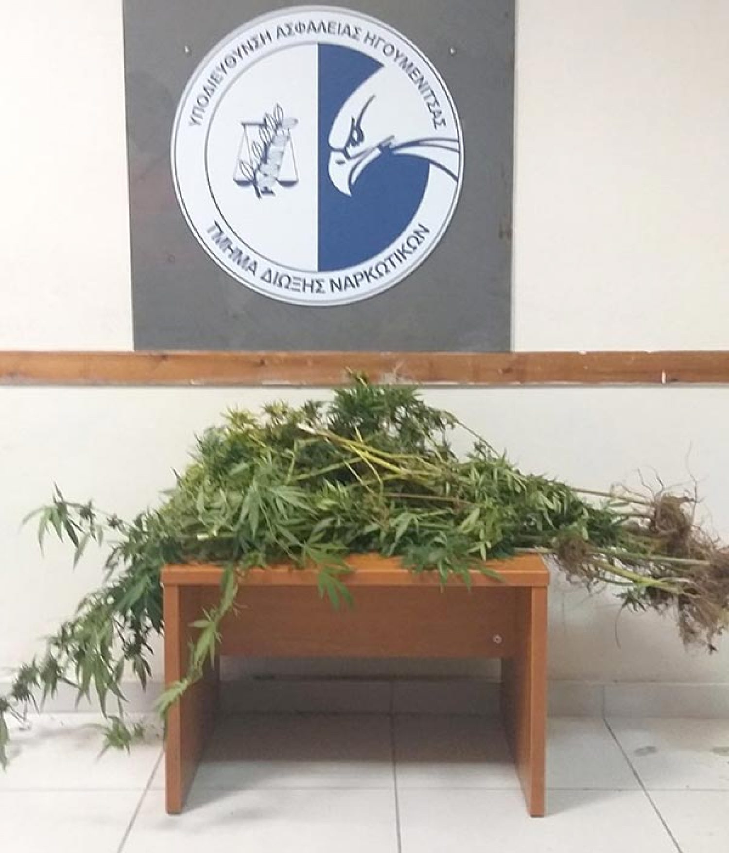 «Καθετοποιημένη» παραγωγή ναρκωτικών με καλλιέργεια - συσκευασία - διακίνηση!
