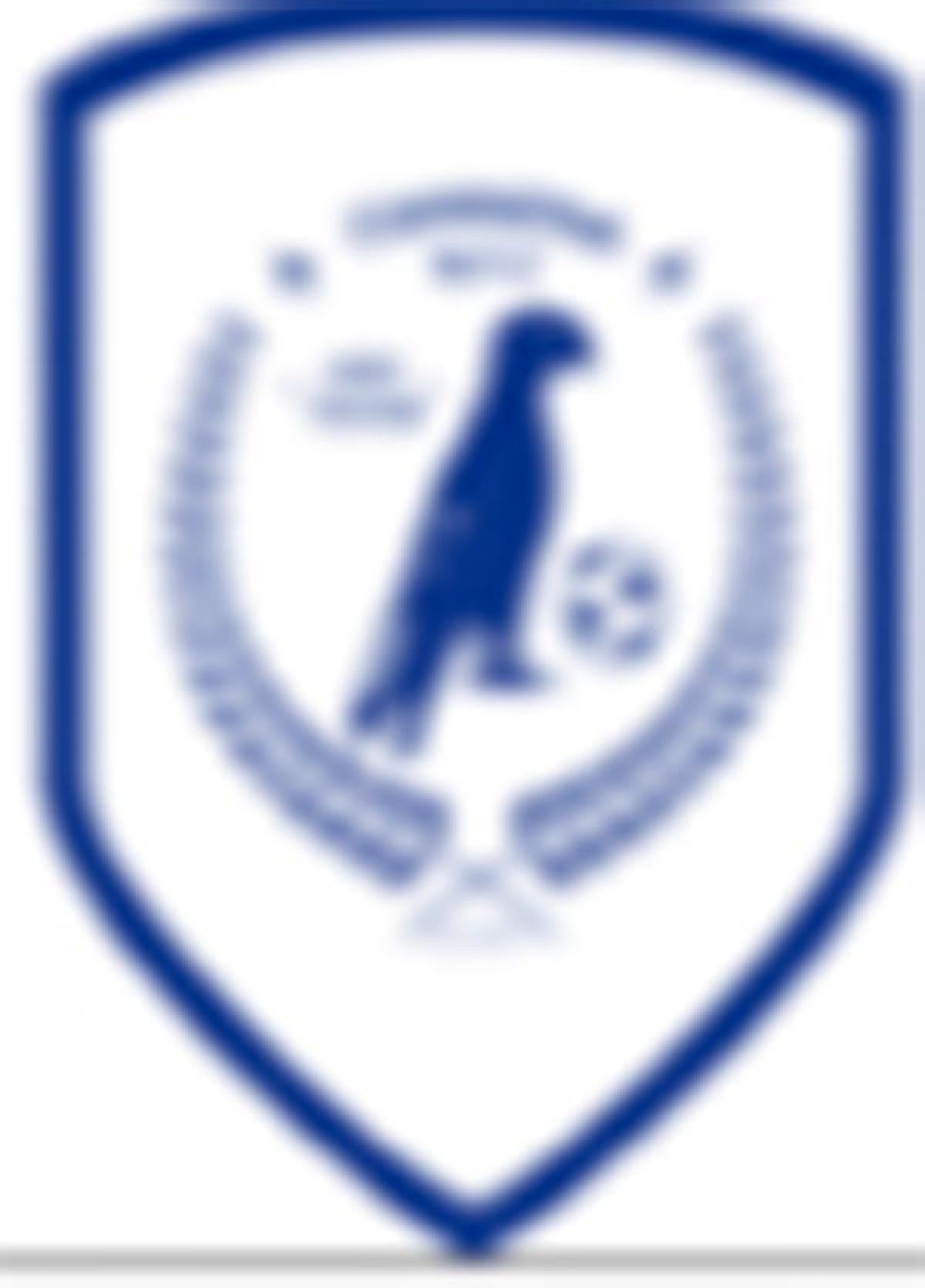 Πρεμιέρα στη Θεσσαλονίκη για τα Γιάννενα WFC