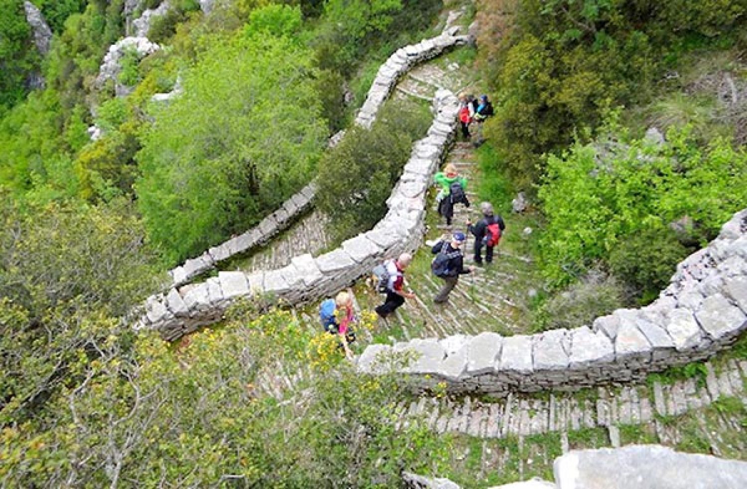 Η Ήπειρος ιδανικό... πεδίο για δράσεις «πράσινης» ανάπτυξης!