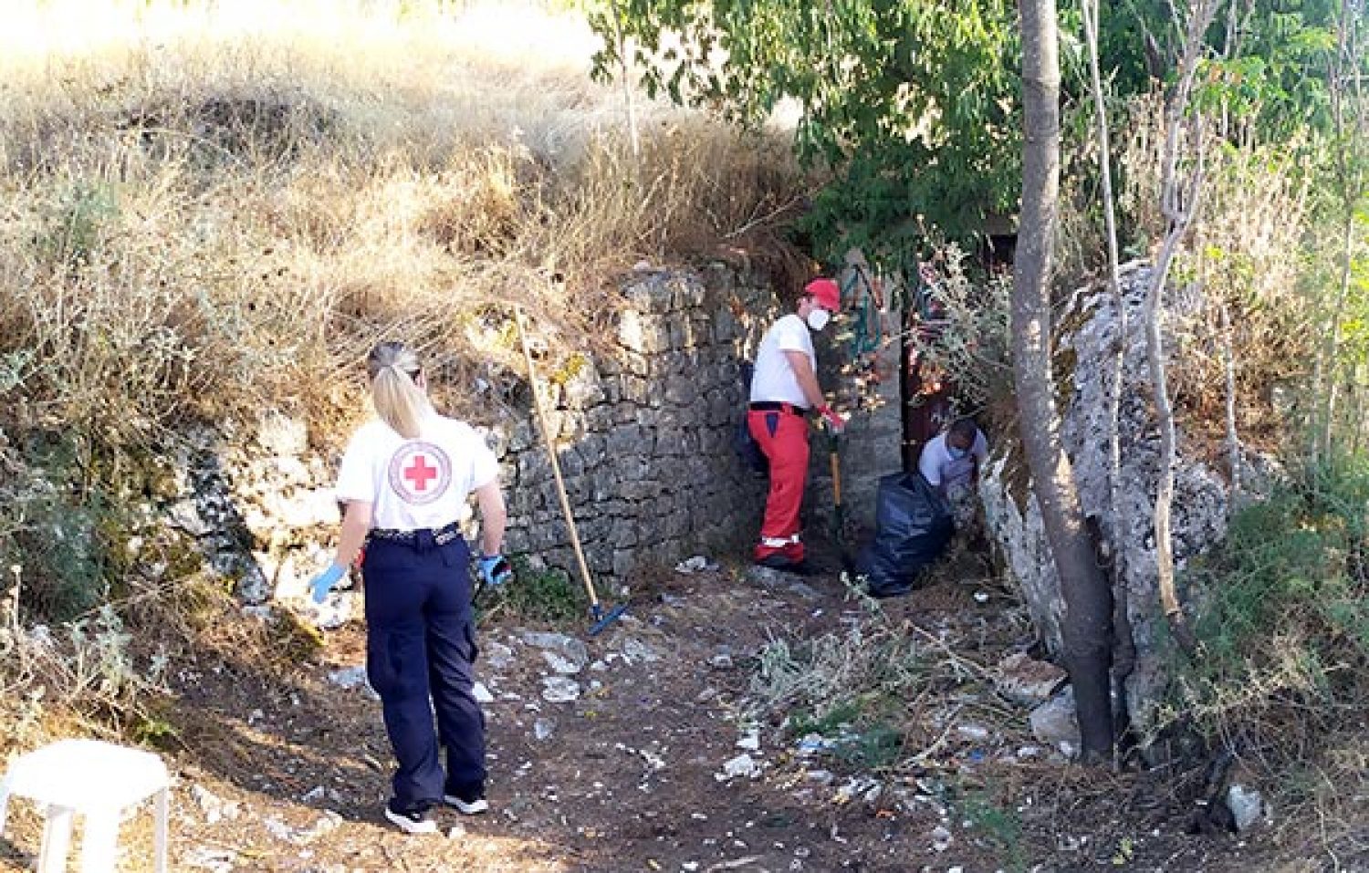 Μέτρα έστω και ΤΩΡΑ για να σωθούν τα άλση και τα δάση της Ηπείρου!