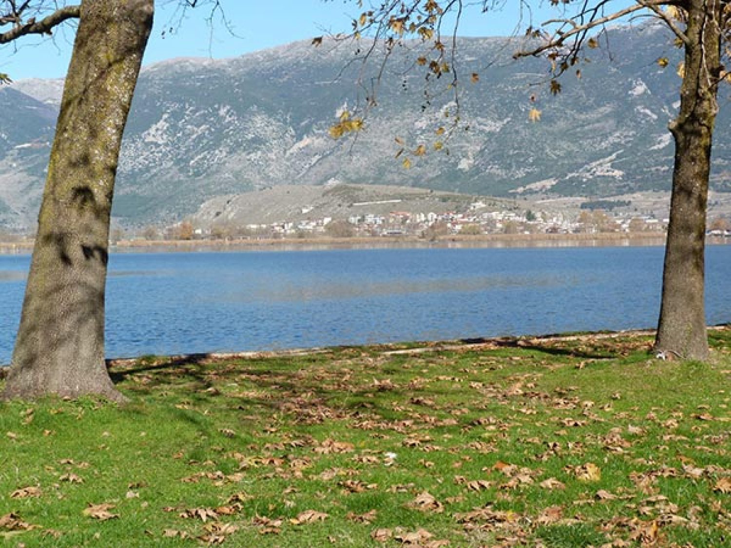 Επί τάπητος η προστασία και ανάδειξη των Λιμνών με πρώτη την Παμβώτιδα!