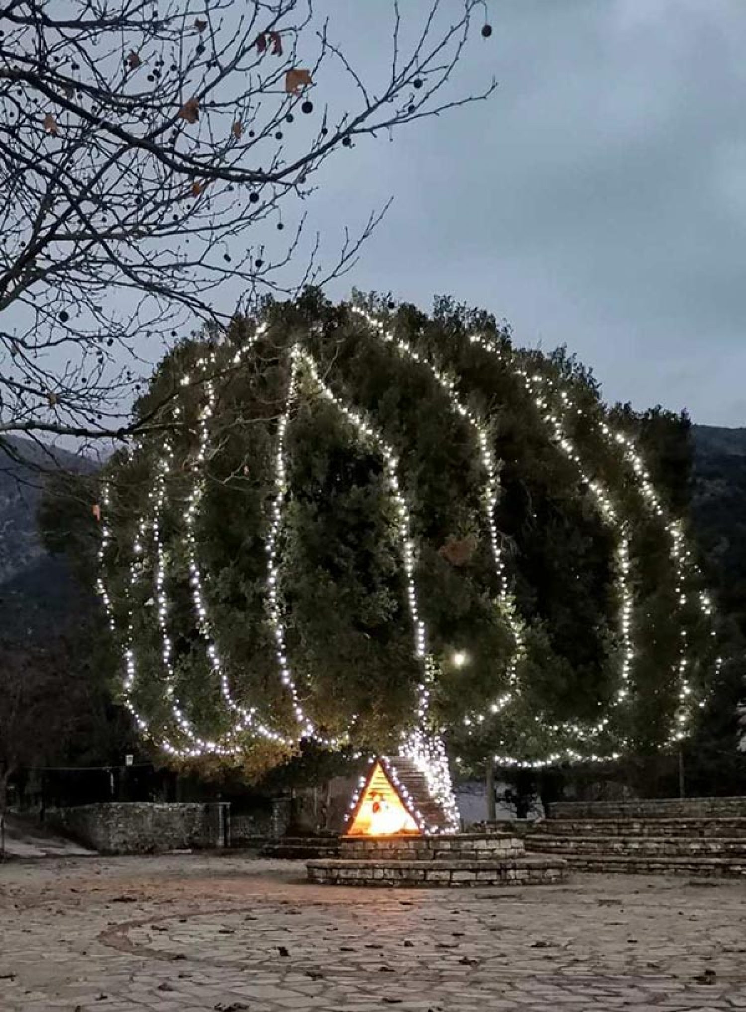 Το Σάββατο θα ανάψει δέντρο στη Σκλίβανη