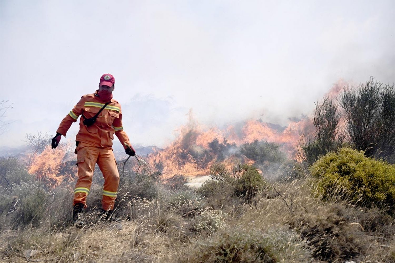 ΗΠΕΙΡΟΣ: ΣΕ ΕΓΡΗΓΟΡΣΗ ΓΙΑ ΠΥΡΚΑΓΙΕΣ