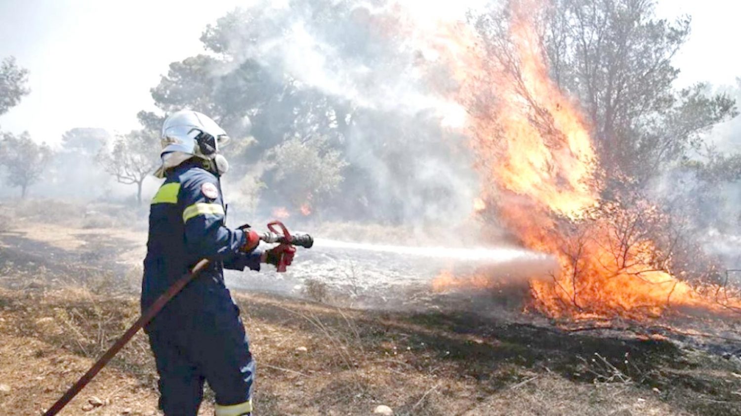 Βαριές ποινές σε εμπρηστές και έργα πρόληψης για να… σωθούν τα δάση!