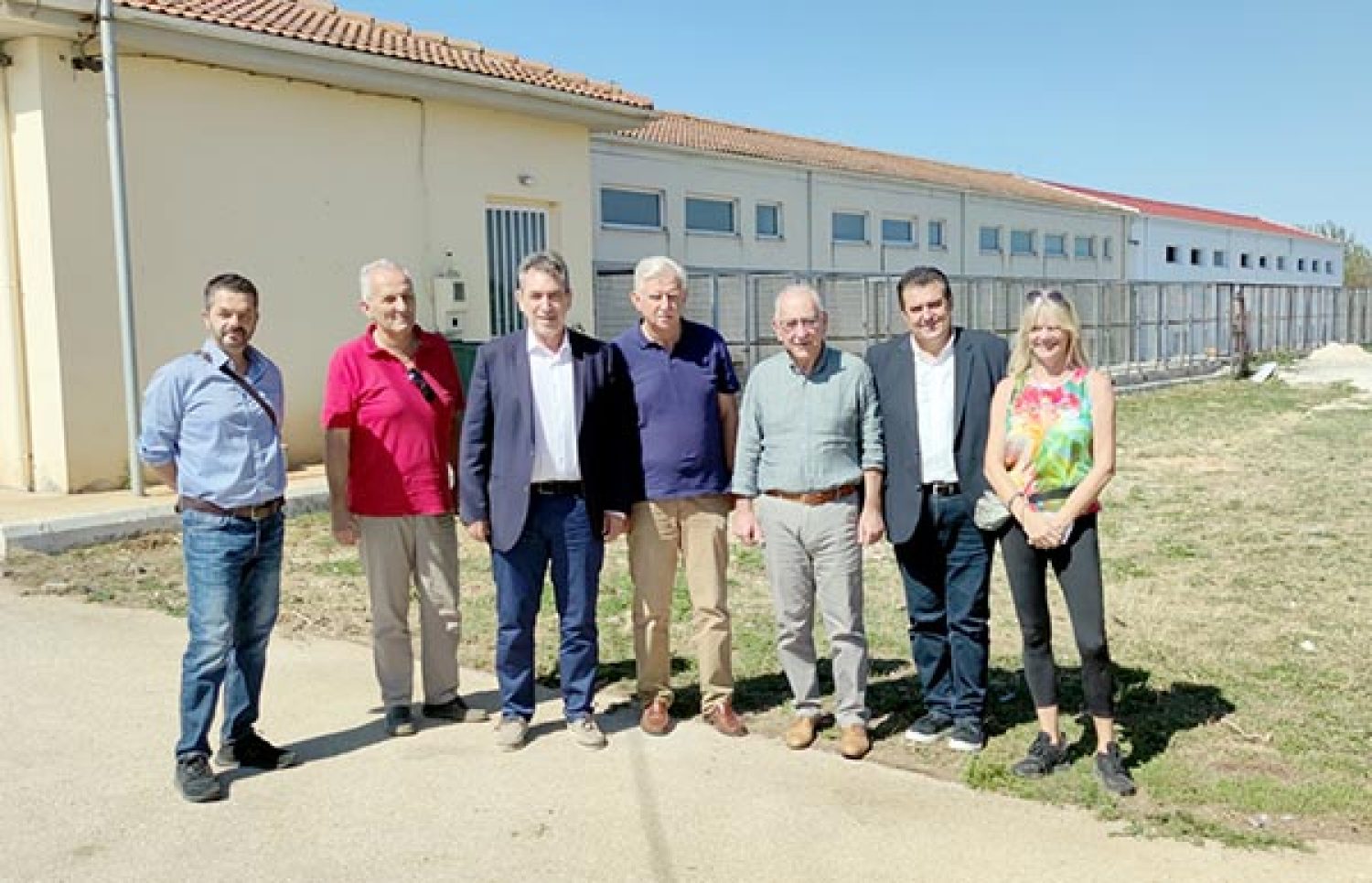 Αντί να μειώνονται, αυξάνονται τα αδέσποτα στα Γιάννενα!