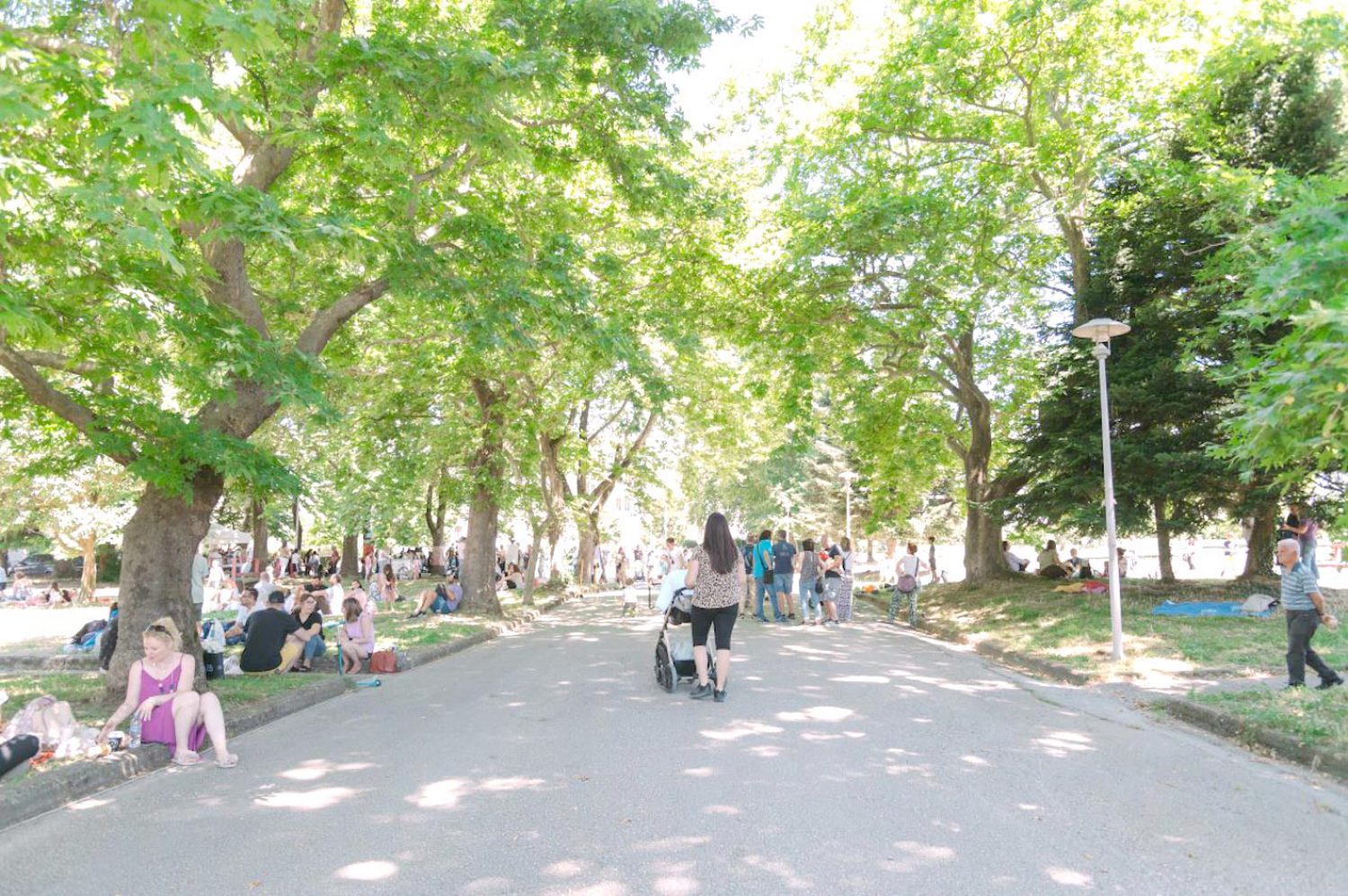 Χρειάζεται δουλειά για ν’ αλλάξει η εικόνα στα Πάρκα των Ιωαννίνων!