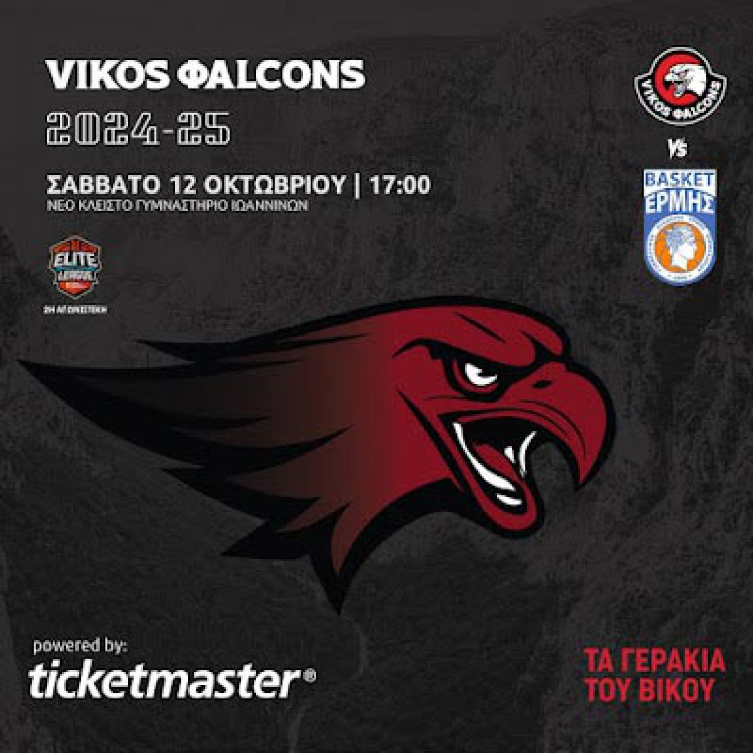 Στα Τρίκαλα αγωνίζονται αύριο οι Vikos Falcons
