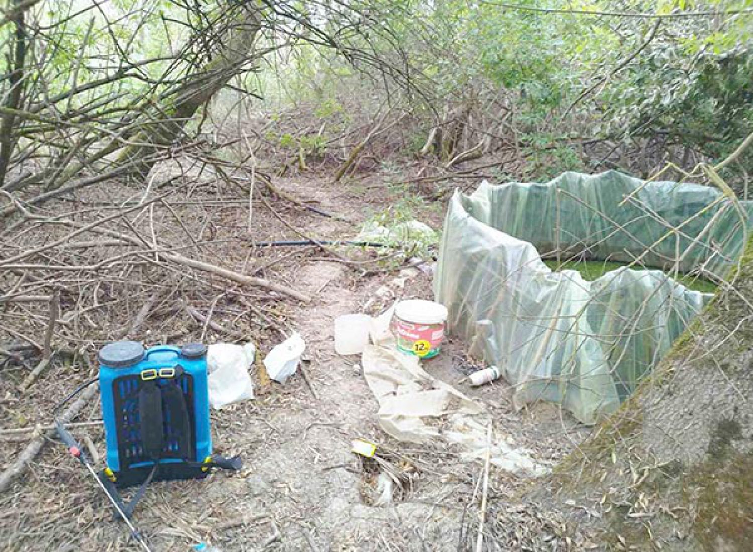 Οργανωμένη χασισοφυτεία στην Πρέβεζα – άφαντοι οι καλλιεργητές!