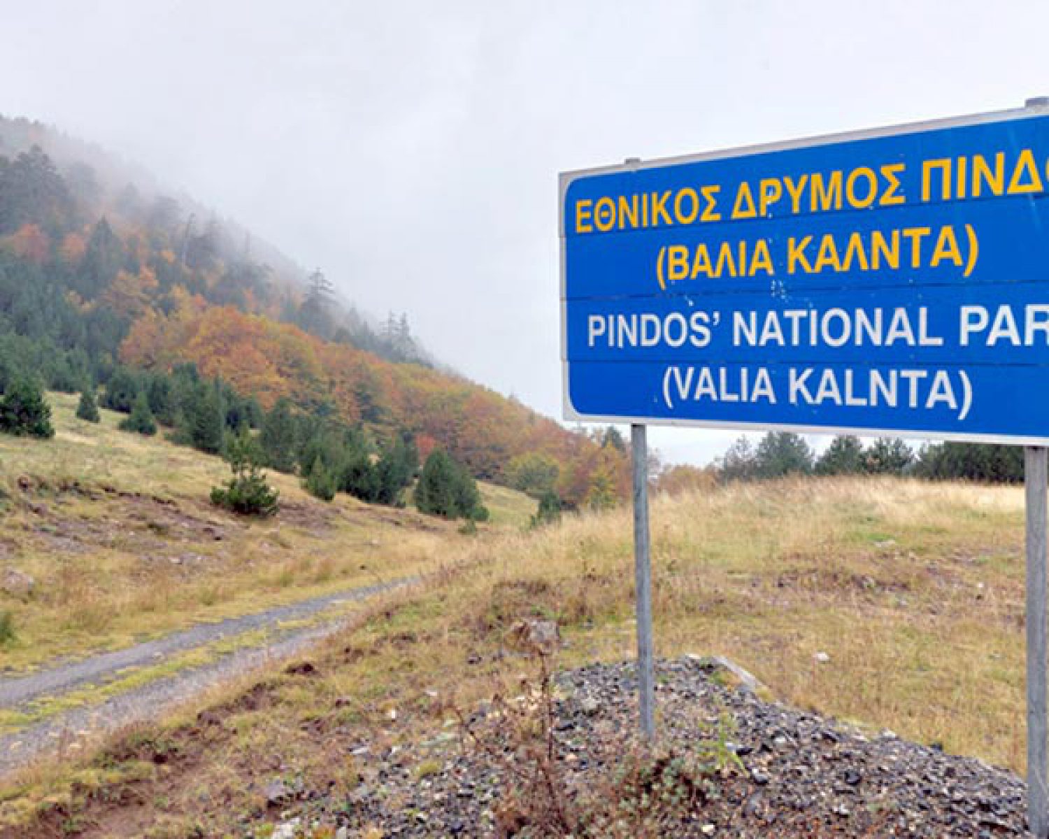 ΔΙΧΤΥ ΠΡΟΣΤΑΣΙΑΣ ΣΤΗ «ΒΑΛΙΑ ΚΑΛΝΤΑ»!