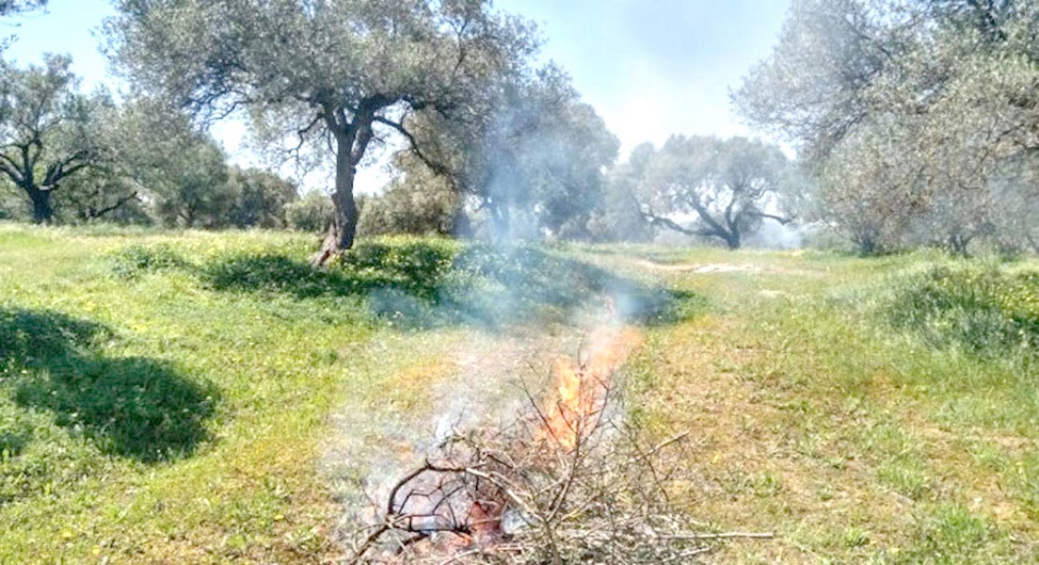 Μην καίτε ξερά χόρτα και κλαδιά για μια εβδομάδα!