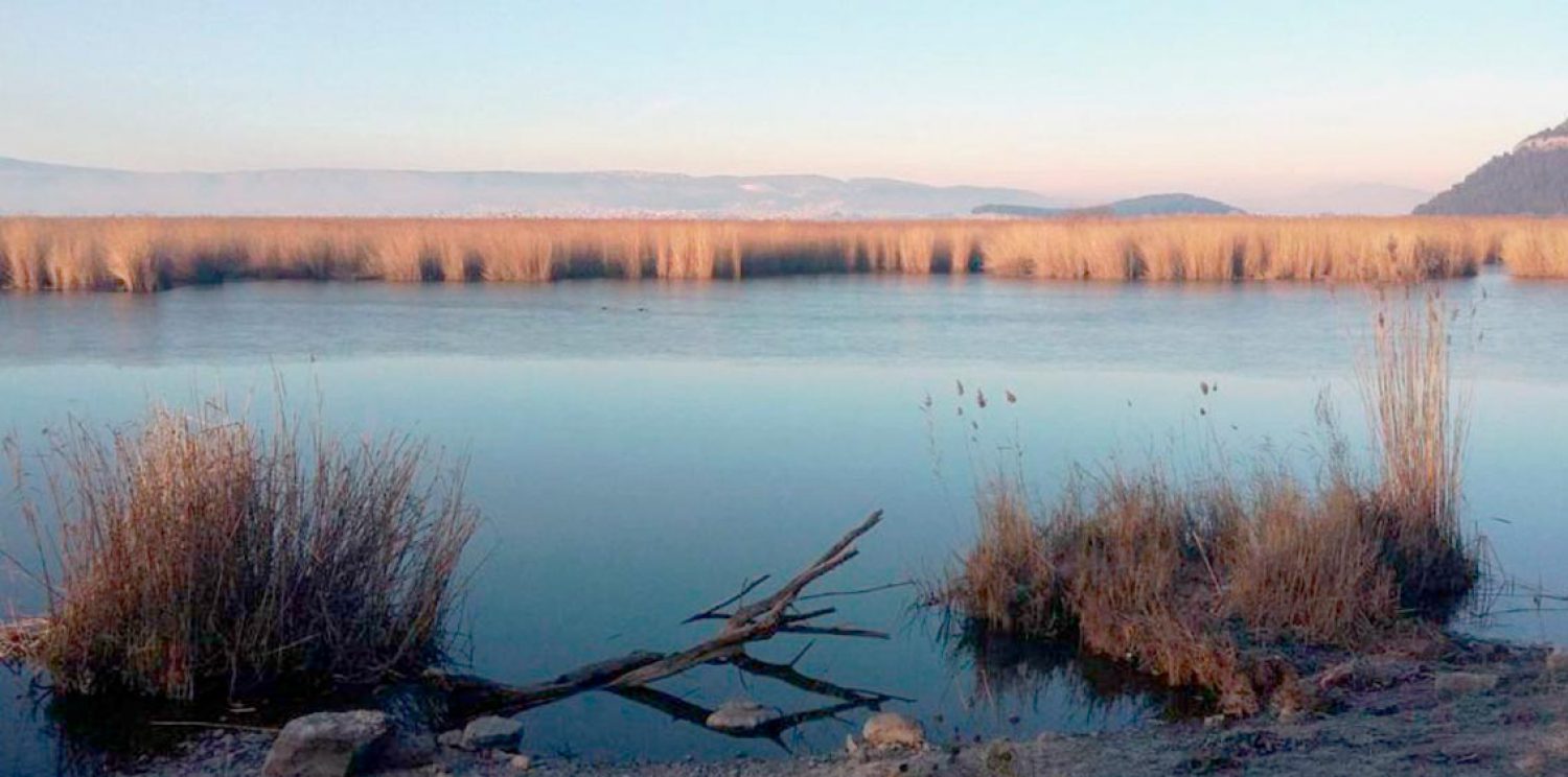 Κρίσιμη η ορθολογική διαχείριση των υδάτων στο Λεκανοπέδιο Ιωαννίνων!