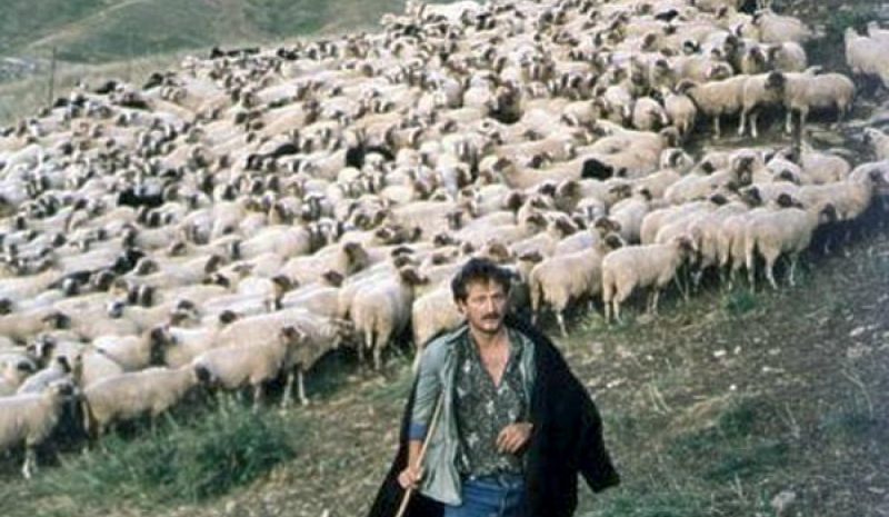 Λύνεται το πρόβλημα κτηνοτρόφων για τις εξισωτικές αποζημιώσεις