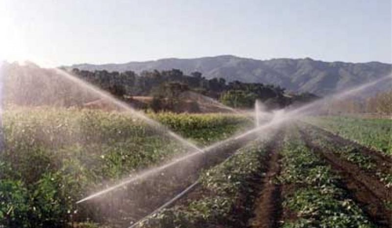 Ο αγροτικός τομέας μπορεί να «βάλει πλάτη» στην οικονομία