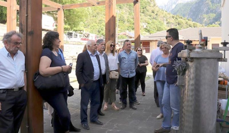Έντονο το ενδιαφέρον των νέων  για τον τομέα αρωματικών φυτών