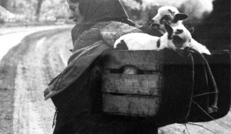 Διάλεξη για τη ζωή και  το έργο του Κ. Μπαλάφα