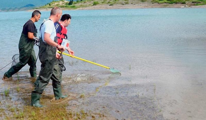 Στο… μικροσκόπιο της επιστήμης  η τεχνητή Λίμνη Πηγών Αώου