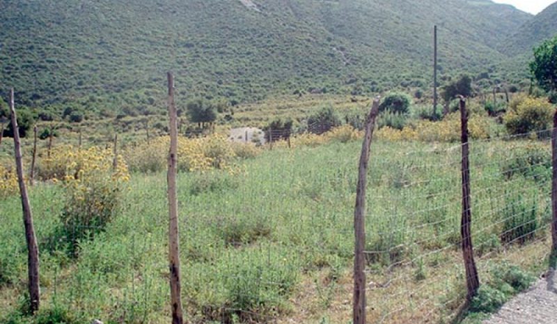 «Πληγώνει» η εγκατάλειψη  του ιστορικού Σουλίου!
