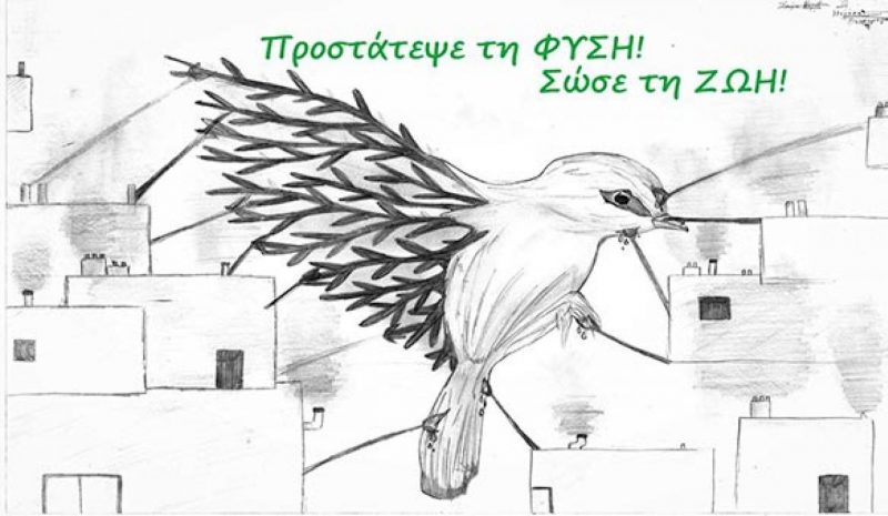 Βραβεία για τα «Δωδωναία» σε  περιβαλλοντικό διαγωνισμό