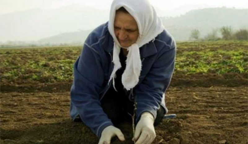   Ν.Δ.: Η Ελληνίδα αγρότισσα συνδράμει  καθοριστικά στην κοινωνική συνοχή της χώρας 