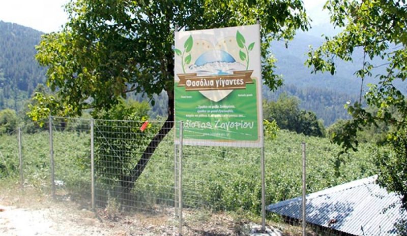 «Επέστρεψαν» στη Λάιστα για  να καλλιεργήσουν… γίγαντες!