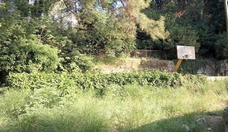 Το πρώτο… θεματικό πάρκο για σκύλους στα Λακκώματα!