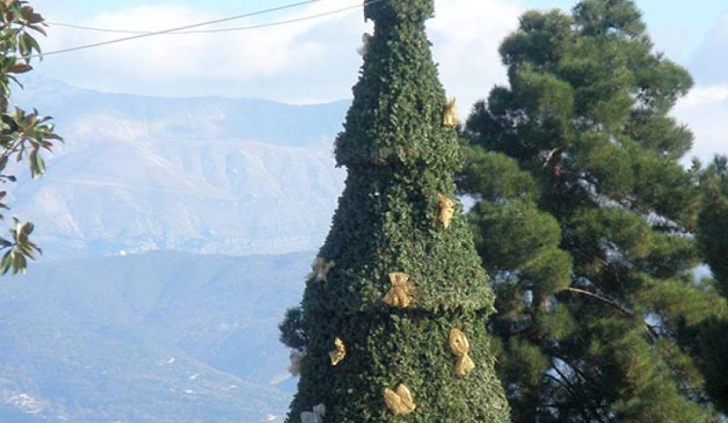 Στις 11 Δεκεμβρίου θ’ ανάψει  το Χριστουγεννιάτικο δέντρο 