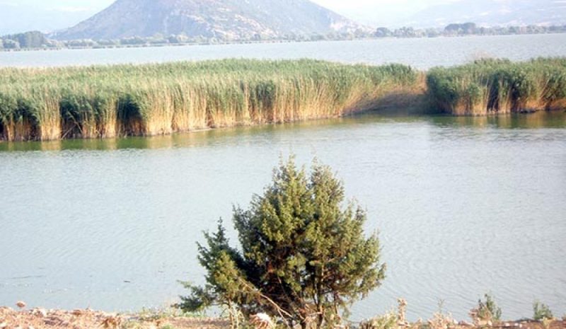 Σημαντικές δράσεις για τη Λίμνη θα υλοποιήσει ο Φορέας Διαχείρισης